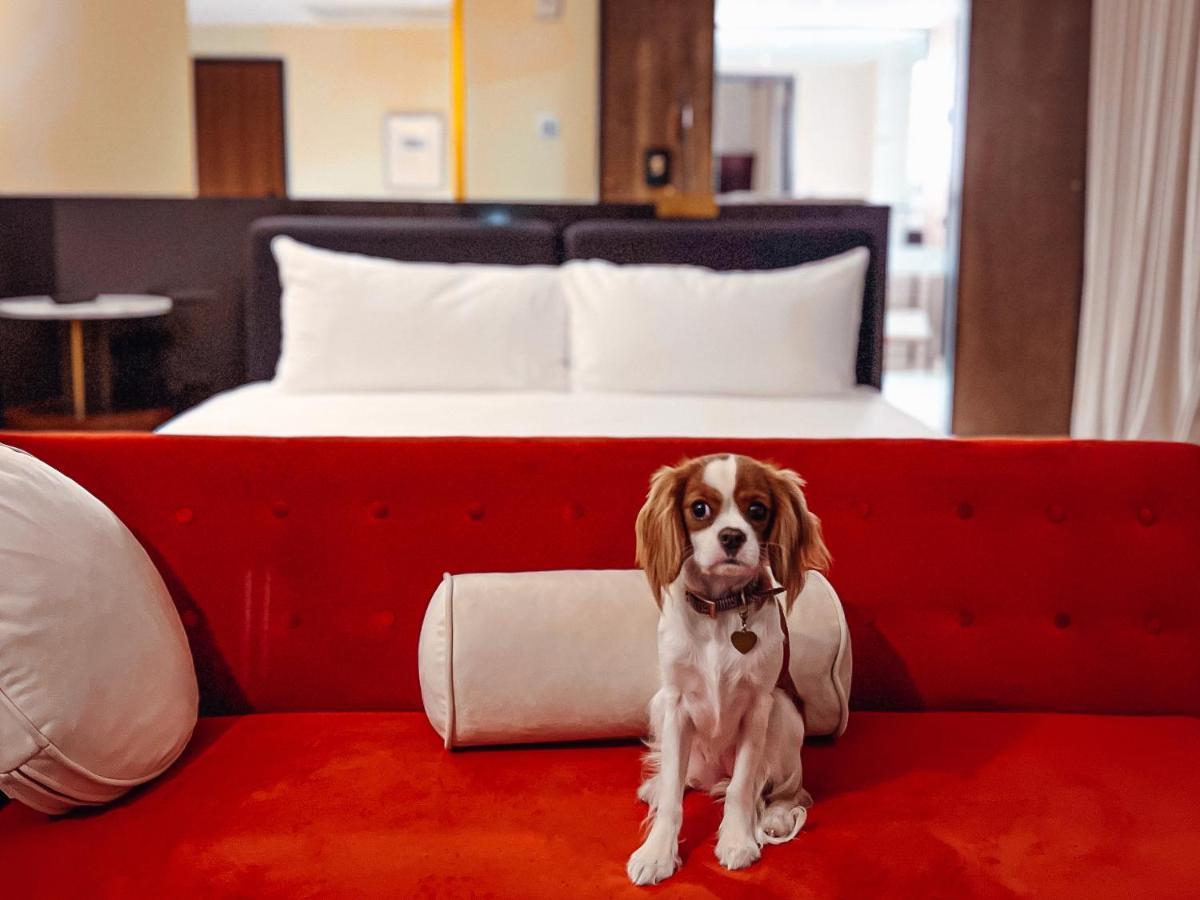 Hotel Haya Тампа Екстер'єр фото